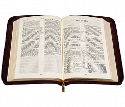 Библия в кожаном переплете на молнии, золотой обрез (арт.08064)