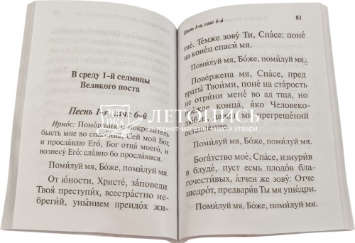 Канон Великий. Творение святителя Андрея Критского. Крупным шрифтом фото 2