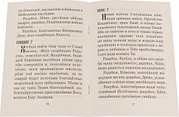 Акафист Пресвятой Богородице в честь иконы ВСЕХ СКОРБЯЩИХ РАДОСТЬ (Арт. 06740)