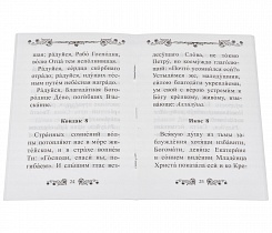 Акафист Пресвятой Богородице в честь иконы Ее Взыскание Погибших. 