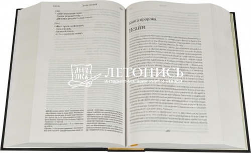 Библия в тканевом переплете, современный русский перевод, учебное издание (арт. 08736) фото 2