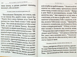 Псалтирь святого пророка и царя Давида крупным шрифтом (арт. 15876)