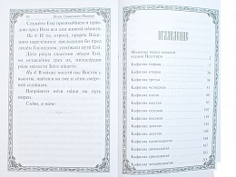 Псалтирь (крупный шрифт) (Арт. 18932)